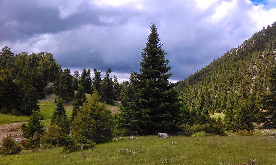 Alexander Resort Arachova Luaran gambar